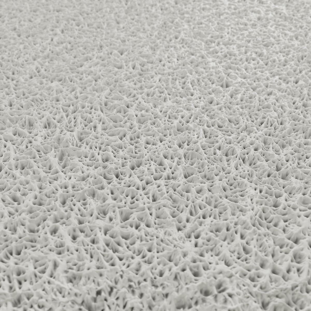 Moss PBR Texture Texture_13