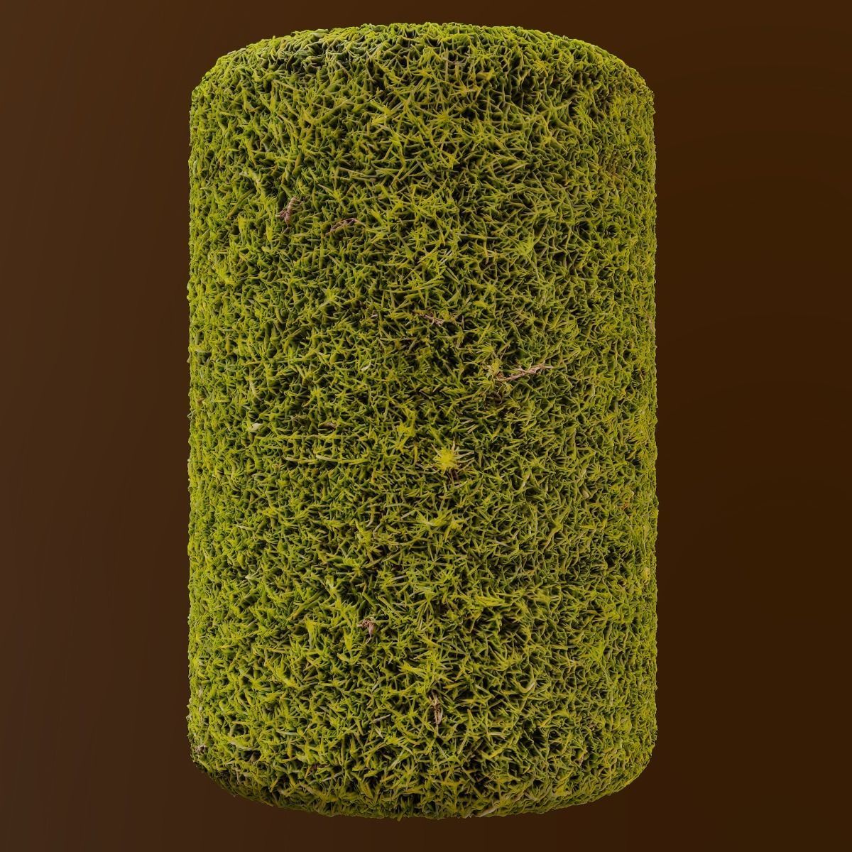 Moss PBR Texture Texture_6