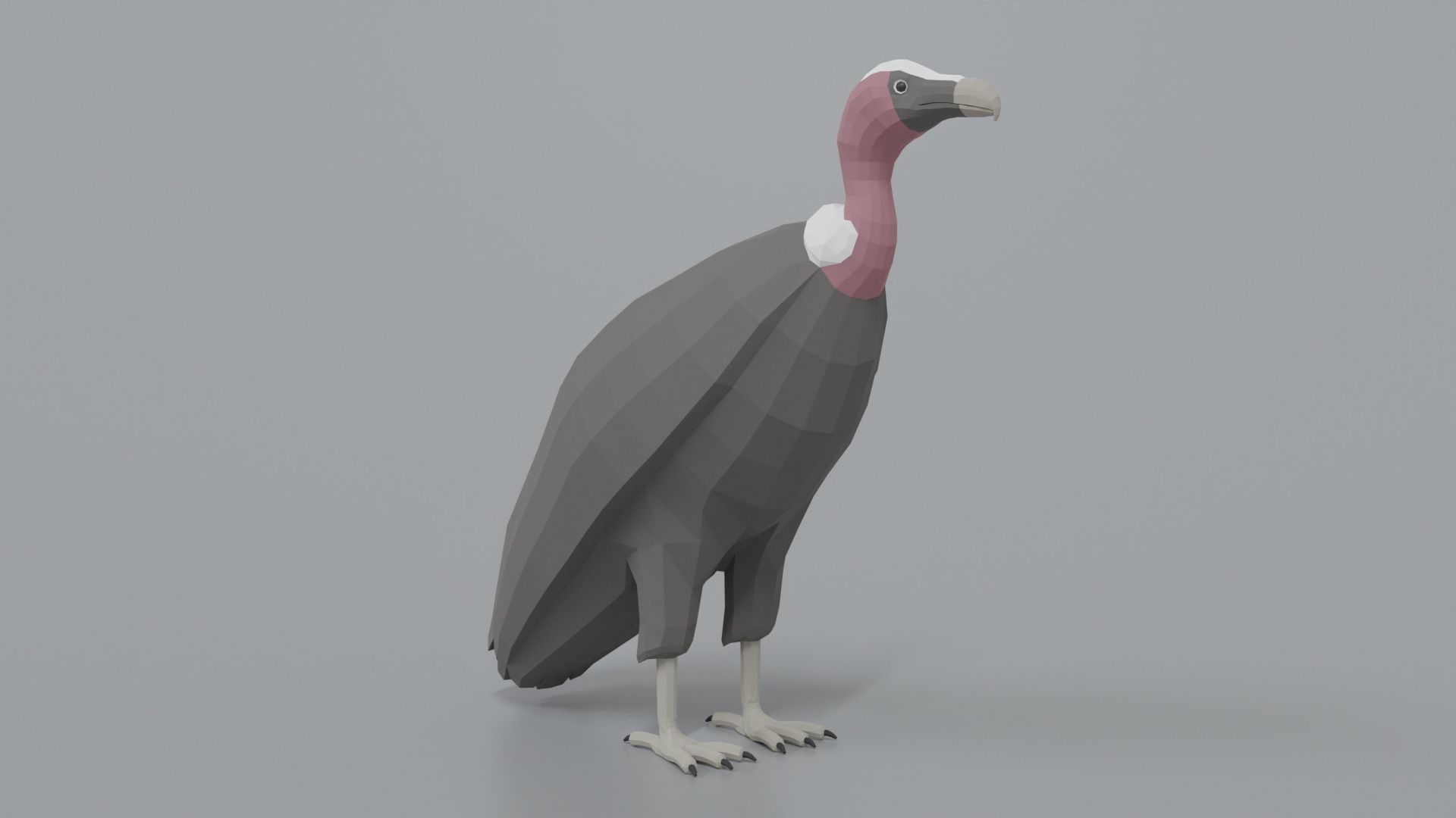 Low Poly Cartoon Vulture Low-poly 3D model_6