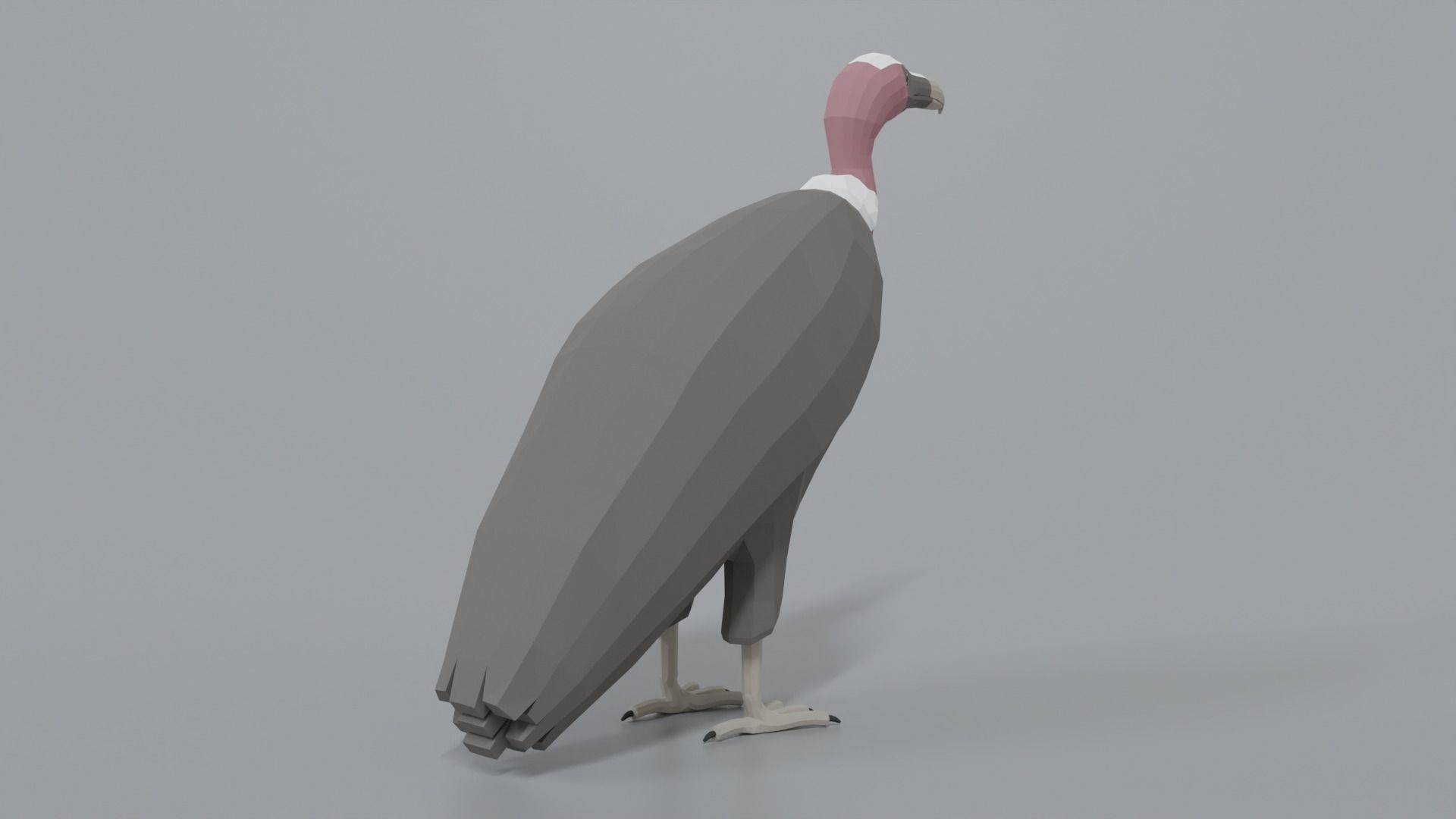 Low Poly Cartoon Vulture Low-poly 3D model_4