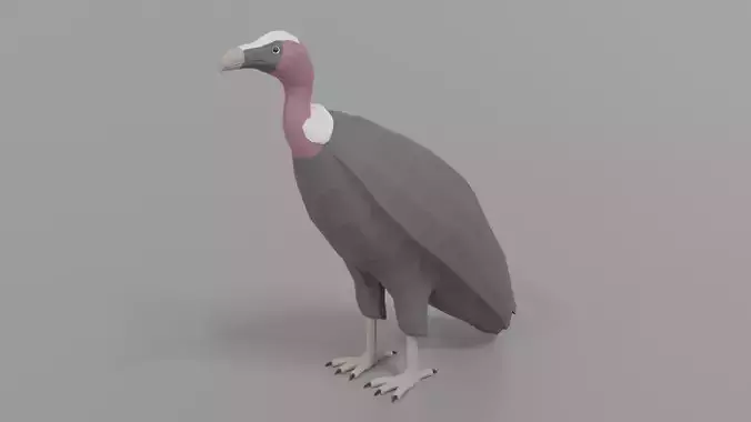 Low Poly Cartoon Vulture