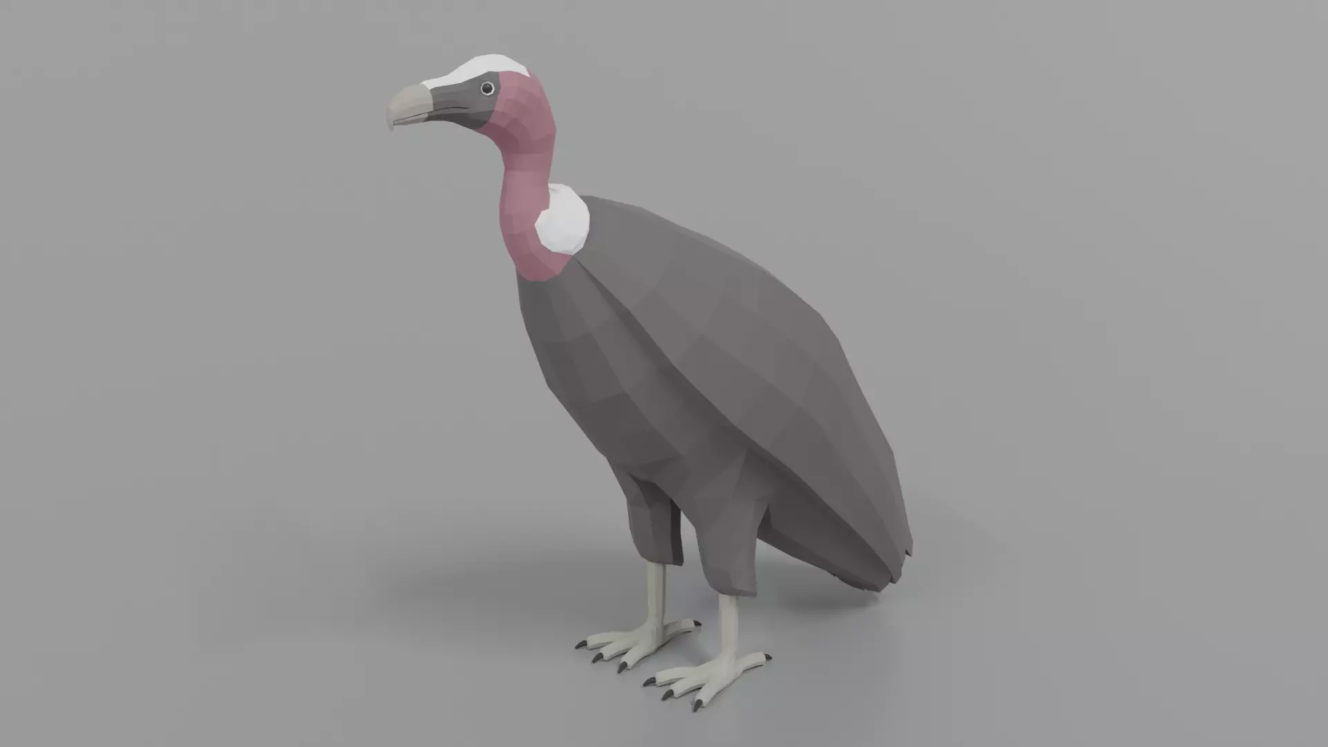 Low Poly Cartoon Vulture Low-poly 3D model_0