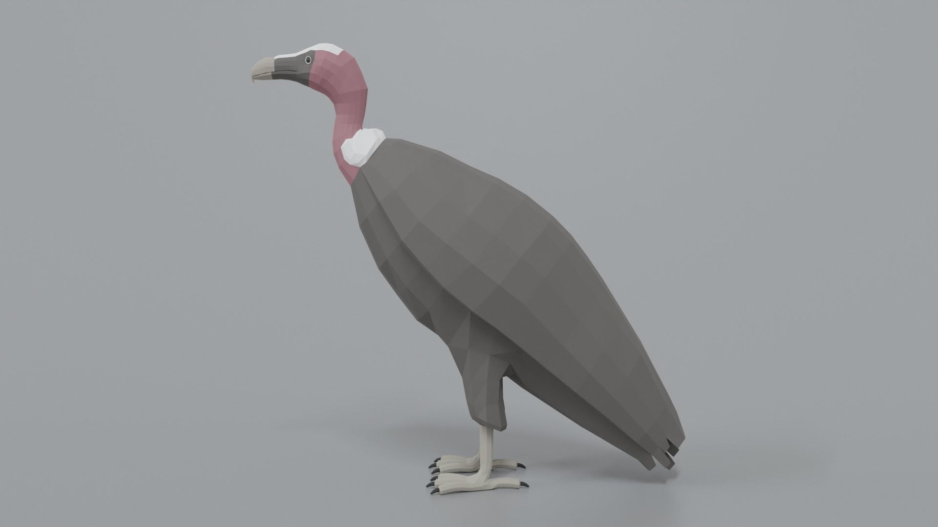 Low Poly Cartoon Vulture Low-poly 3D model_1