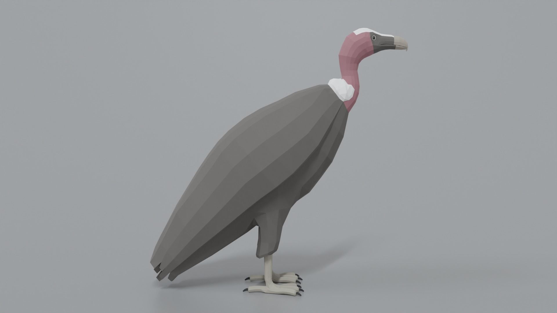 Low Poly Cartoon Vulture Low-poly 3D model_5