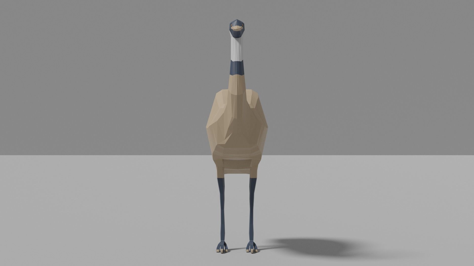 Australian Animals Pack Low-poly 3D model_19