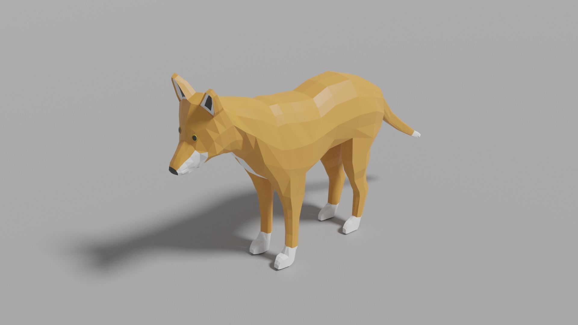 Australian Animals Pack Low-poly 3D model_9