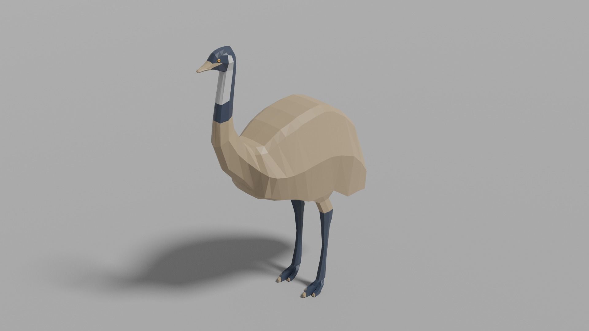 Australian Animals Pack Low-poly 3D model_17