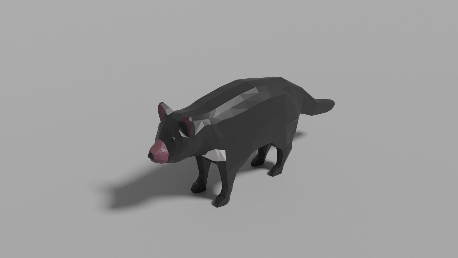 Australian Animals Pack Low-poly 3D model_45