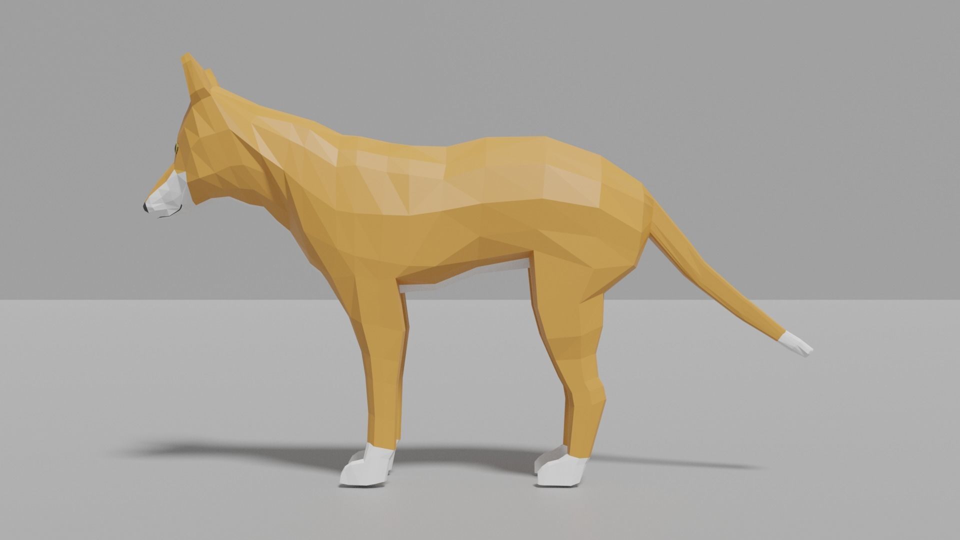 Australian Animals Pack Low-poly 3D model_10