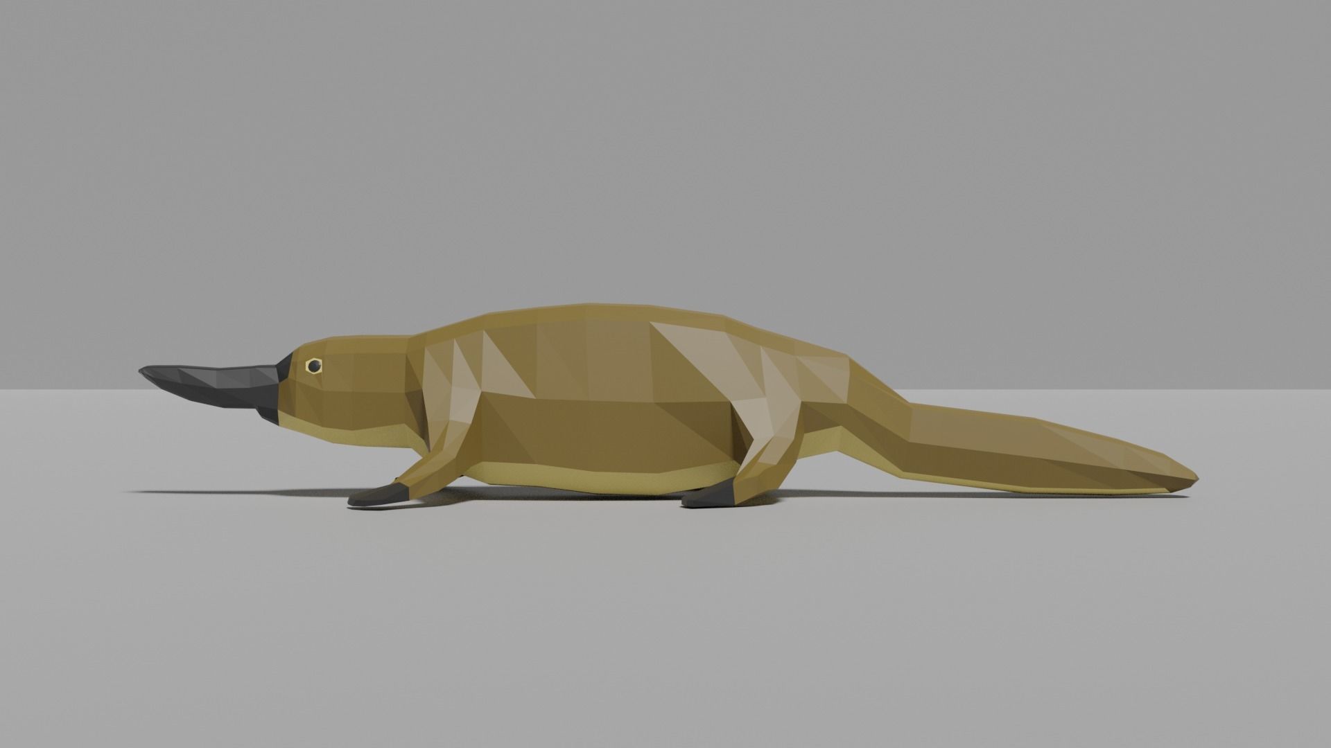 Australian Animals Pack Low-poly 3D model_42