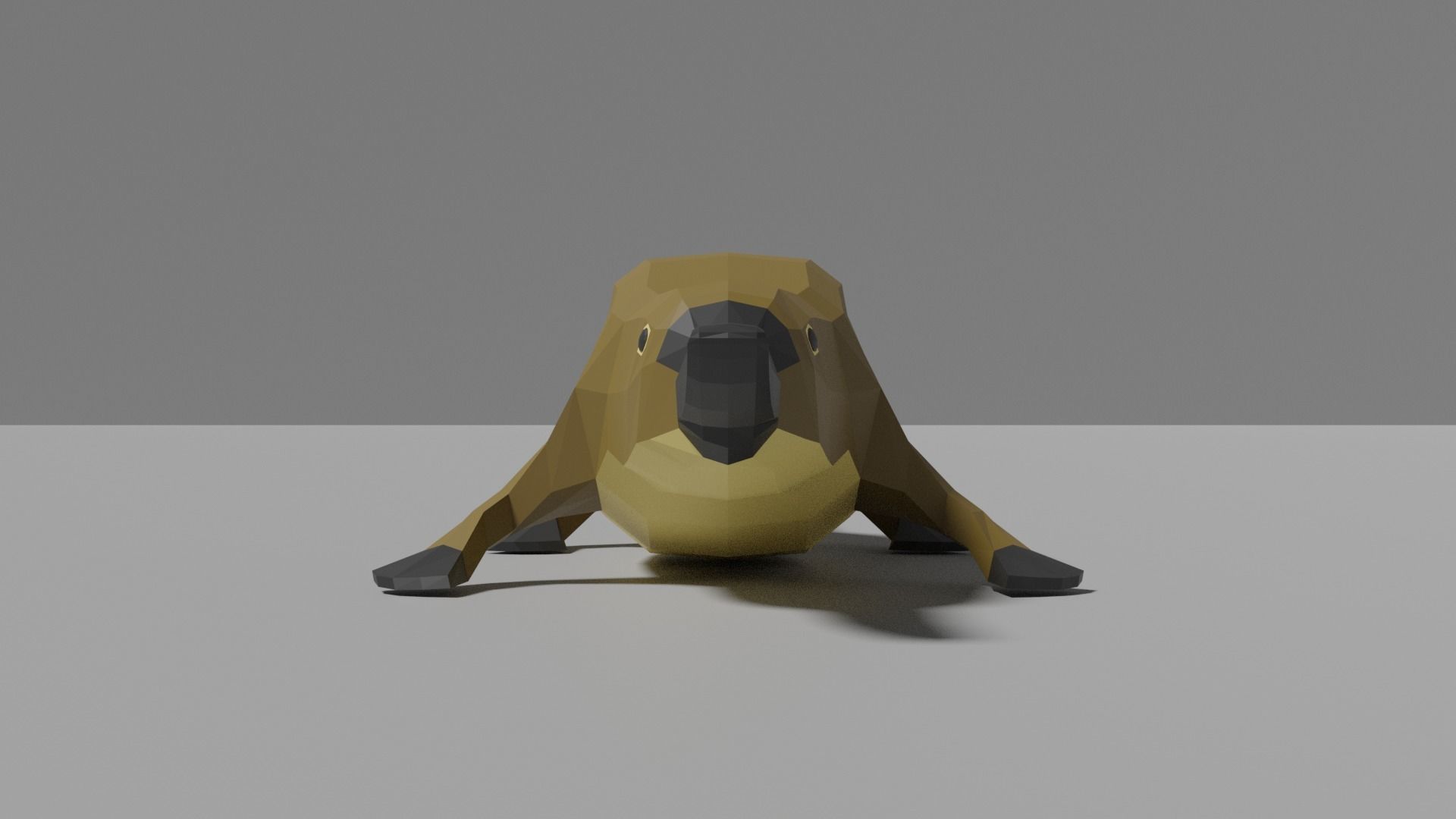 Australian Animals Pack Low-poly 3D model_43