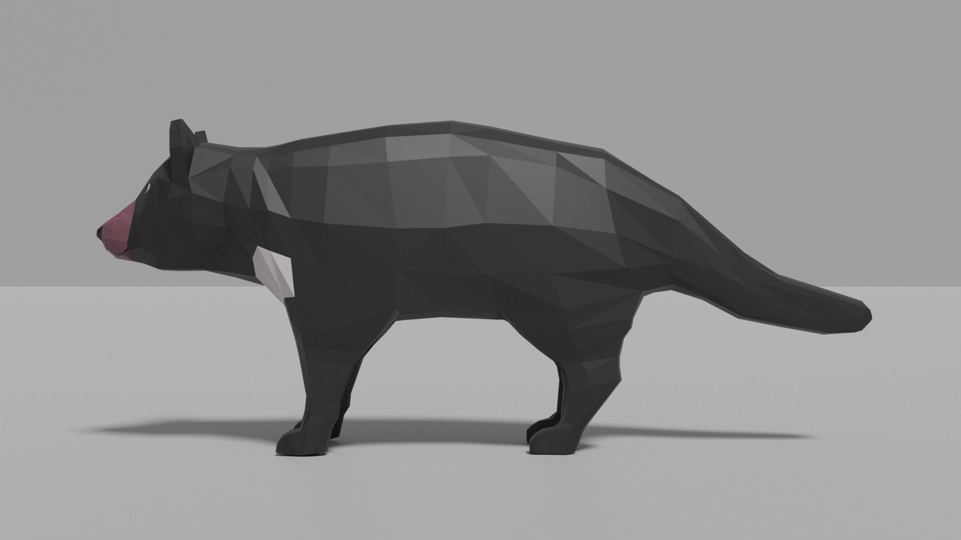 Australian Animals Pack Low-poly 3D model_46