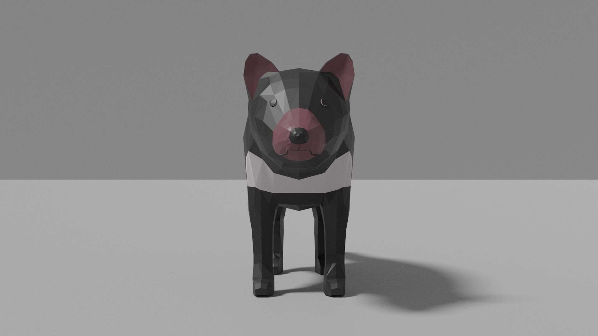 Australian Animals Pack Low-poly 3D model_47