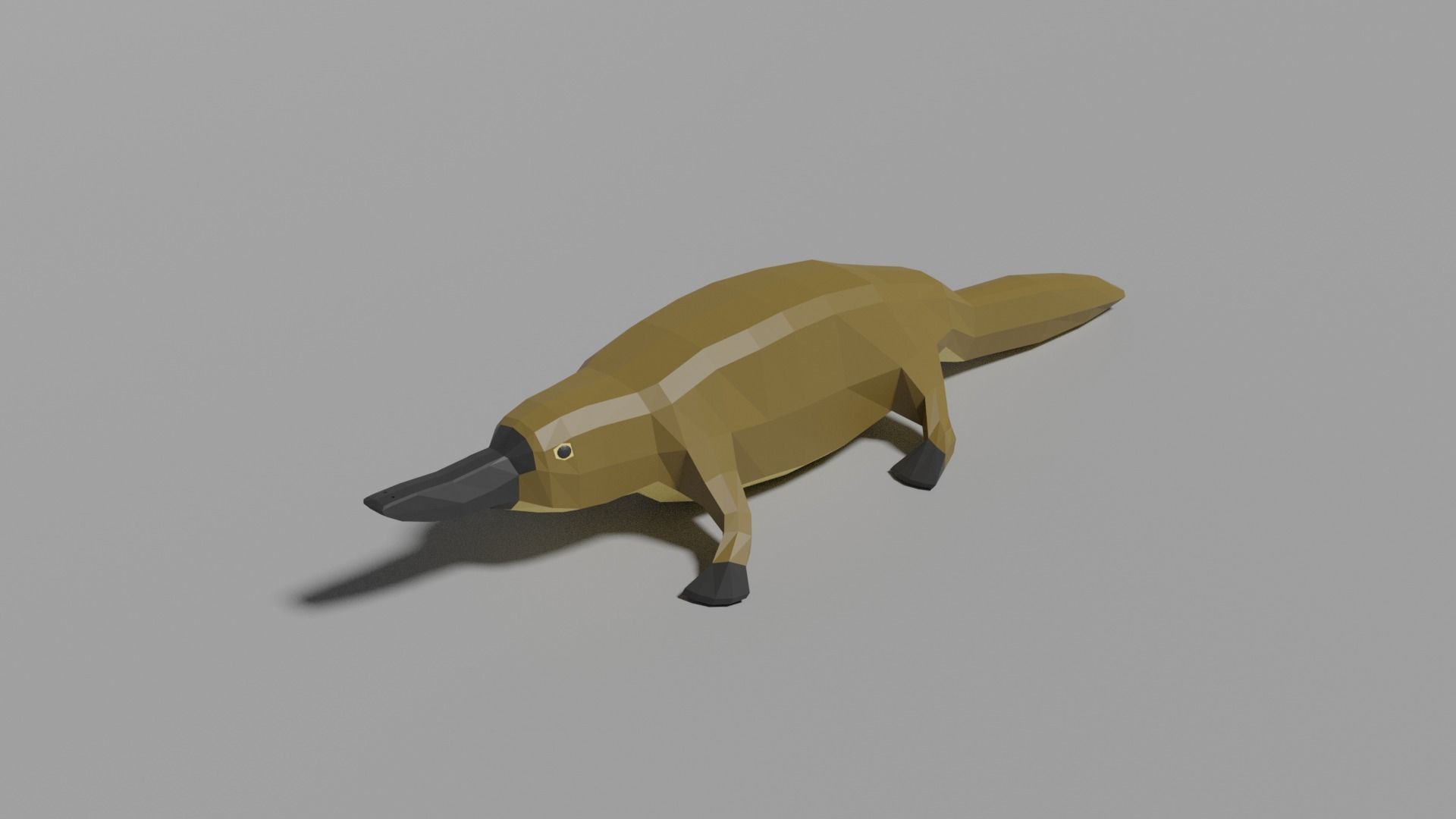 Australian Animals Pack Low-poly 3D model_41