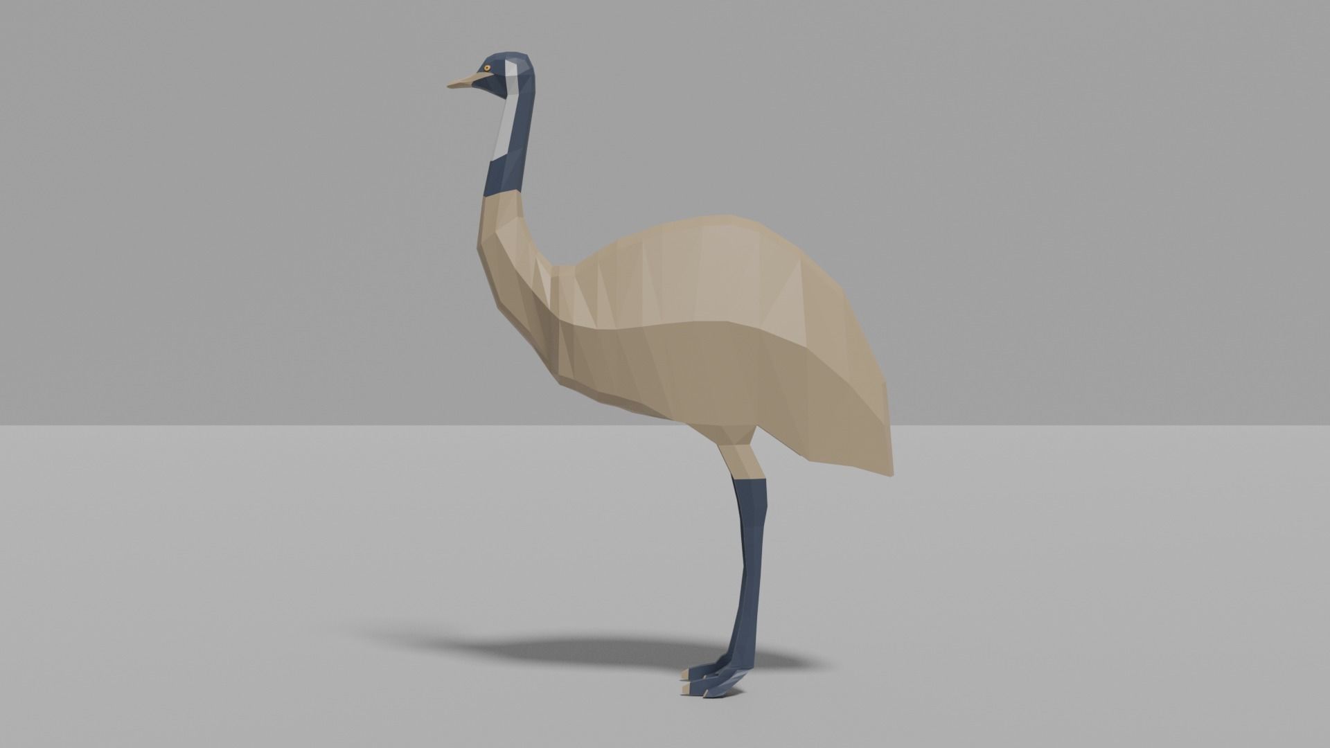 Australian Animals Pack Low-poly 3D model_18