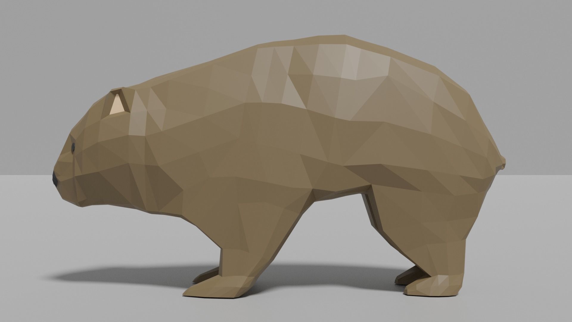 Australian Animals Pack Low-poly 3D model_50