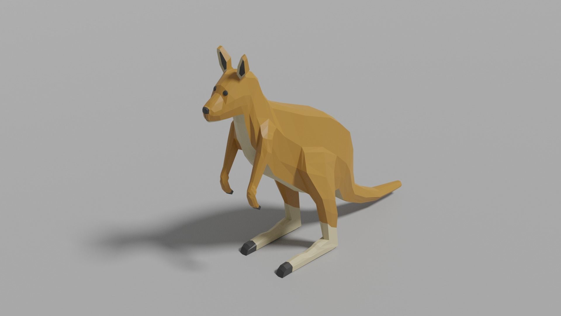 Australian Animals Pack Low-poly 3D model_25