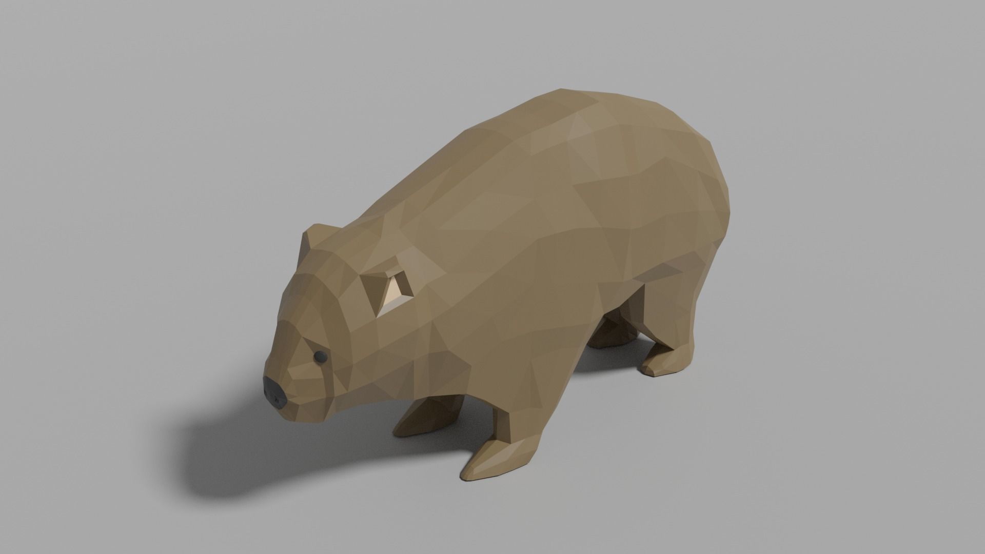 Australian Animals Pack Low-poly 3D model_49