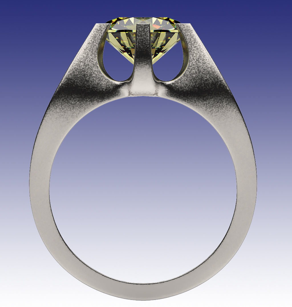 Ring Fortune 3D print model_1