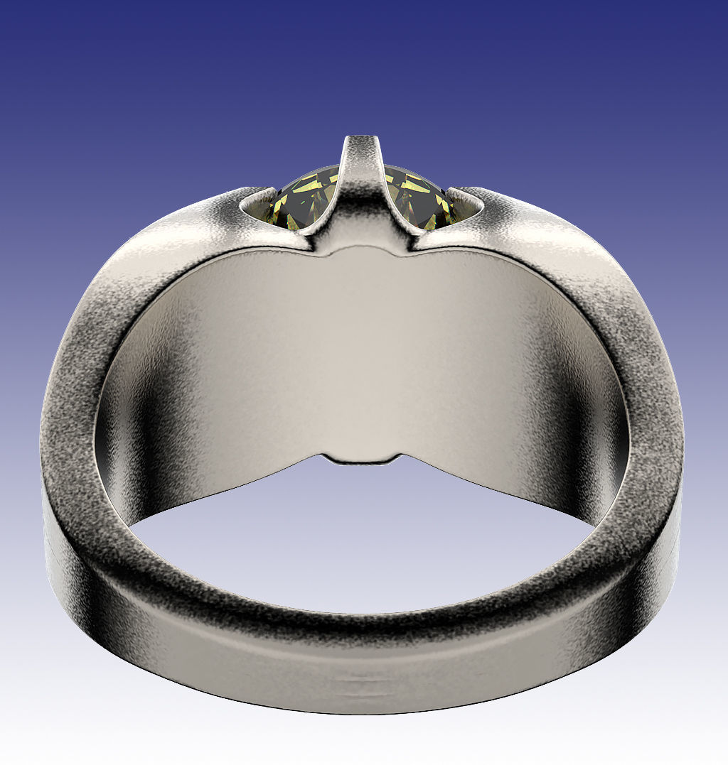 Ring Fortune 3D print model_8