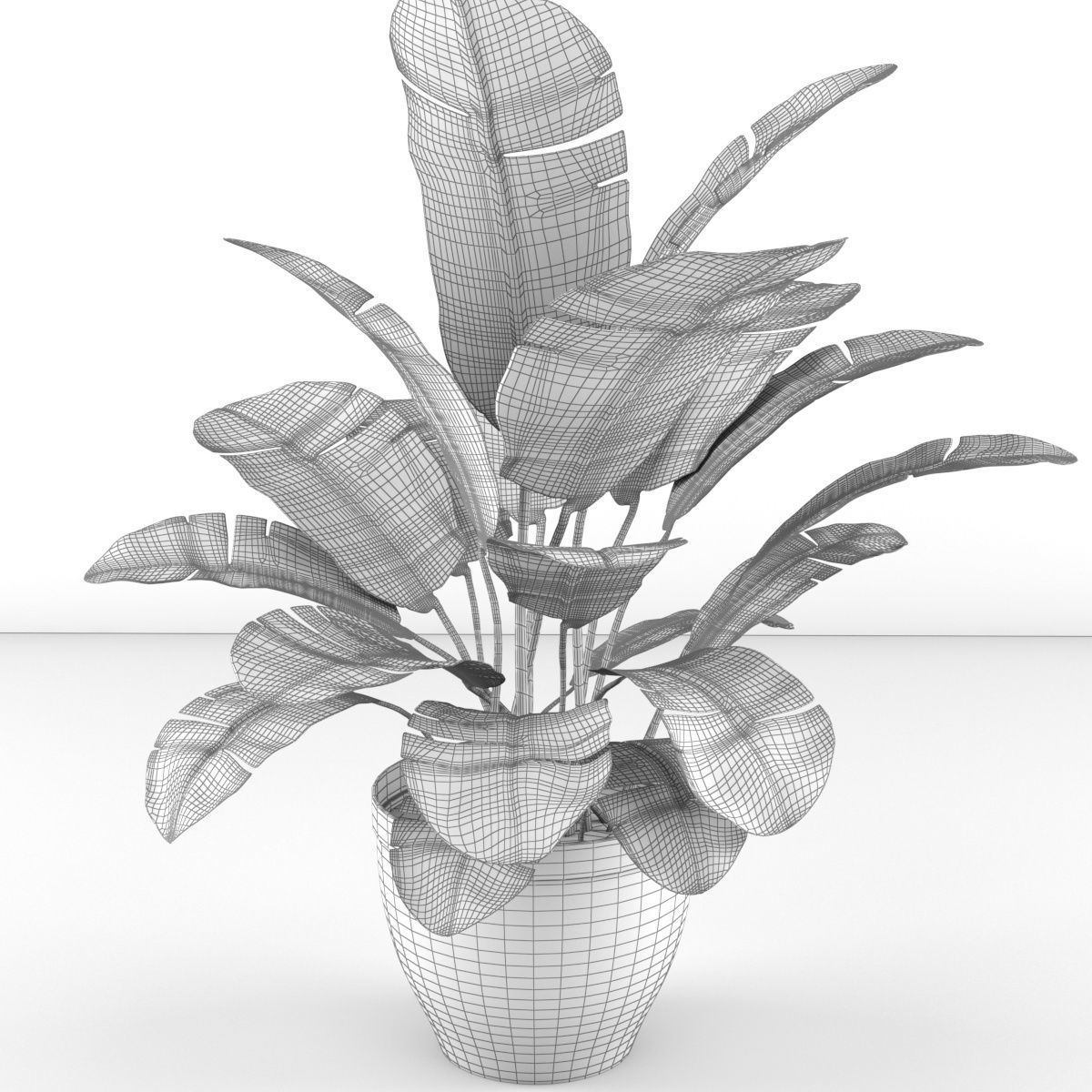 Banana palm plant 3D model_5