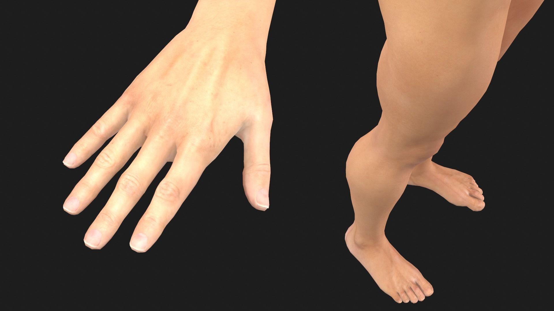 Character base 03 3D model_12