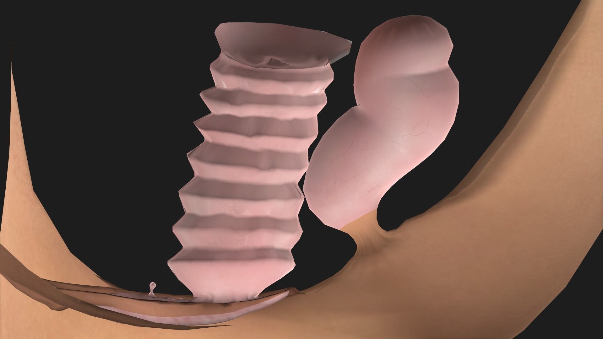 Character base 03 3D model_15