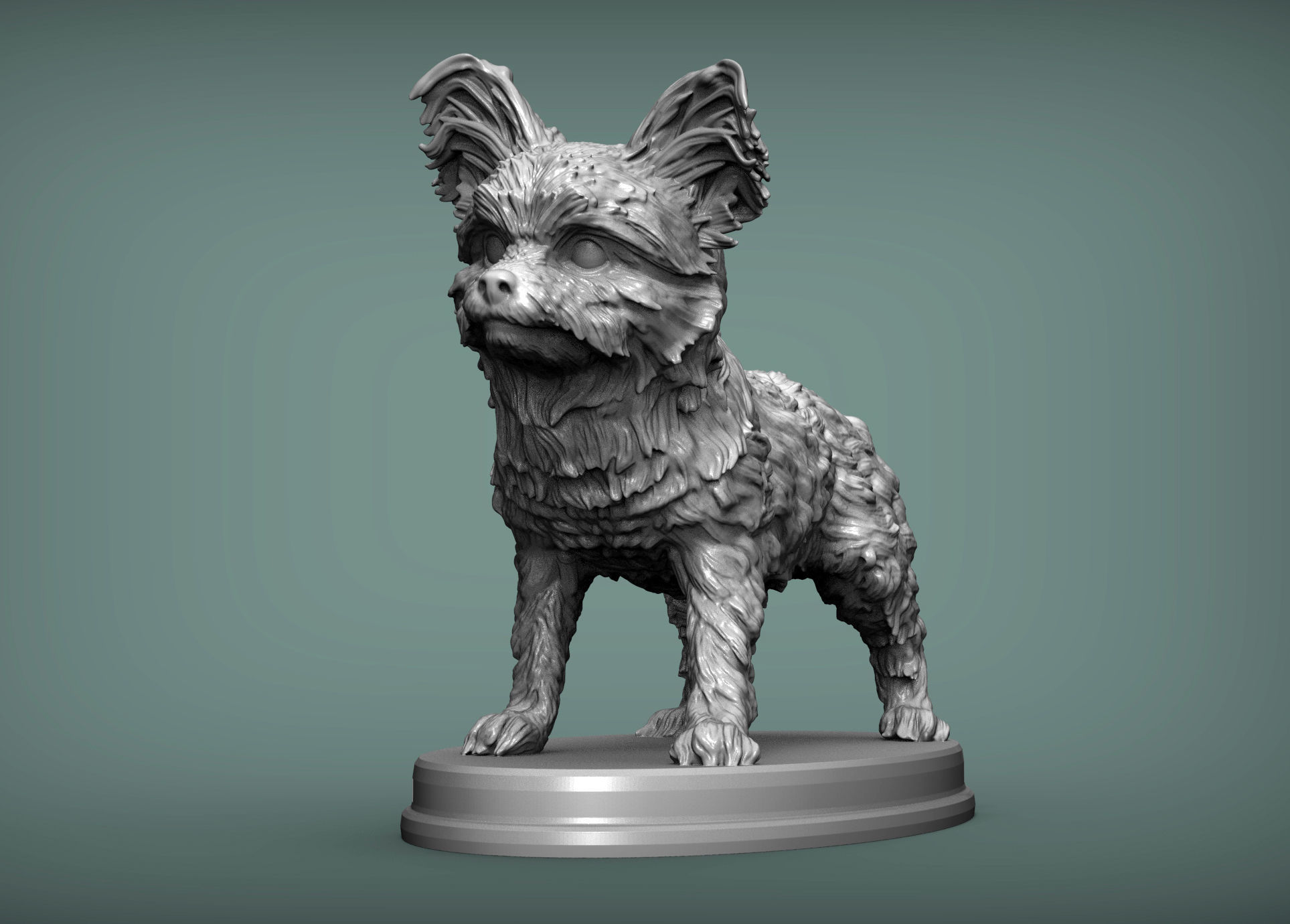 Yorkshire terrier 3D print model_2