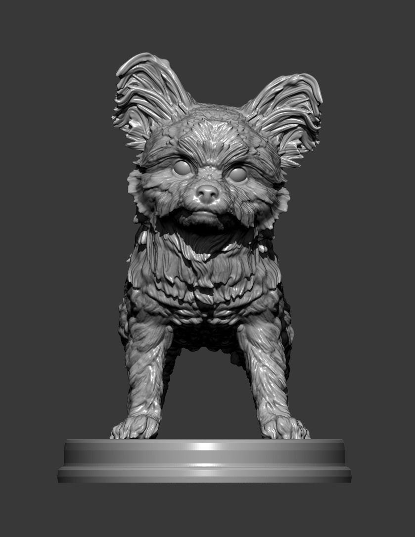 Yorkshire terrier 3D print model_8