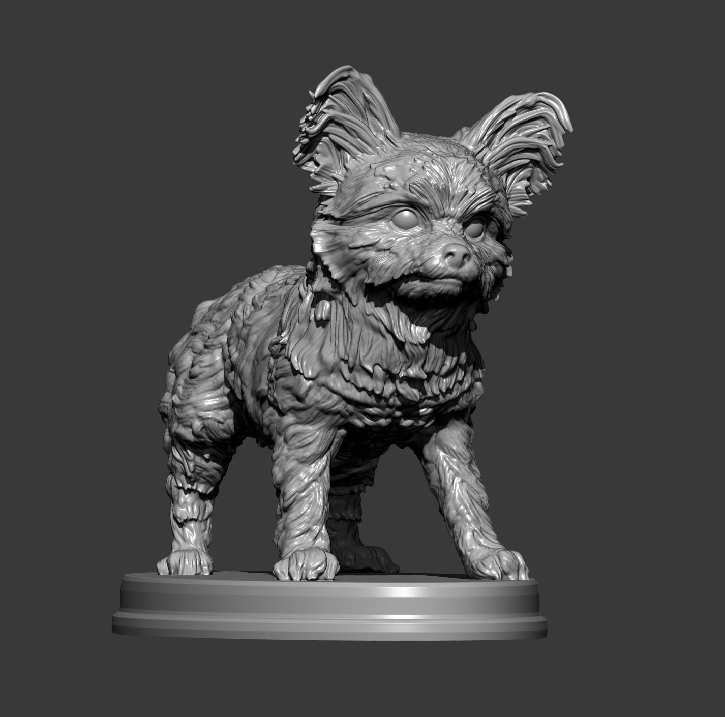 Yorkshire terrier 3D print model_6