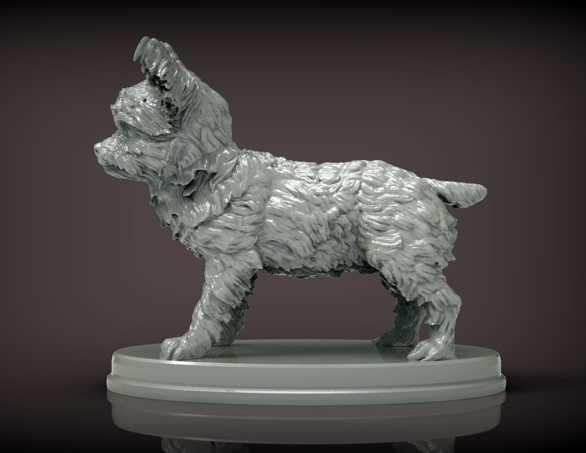 Yorkshire terrier 3D print model_4