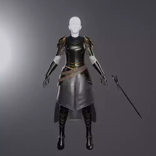 Female Dark Knight Armor 3D model