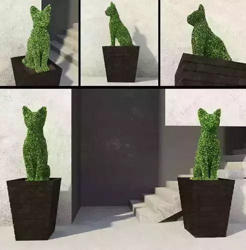 cat plants