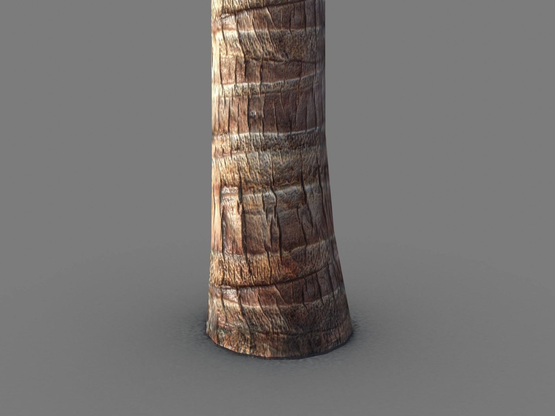 coconut palm Low-poly 3D model_3