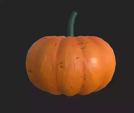 Pumpkin - Realistic - Model