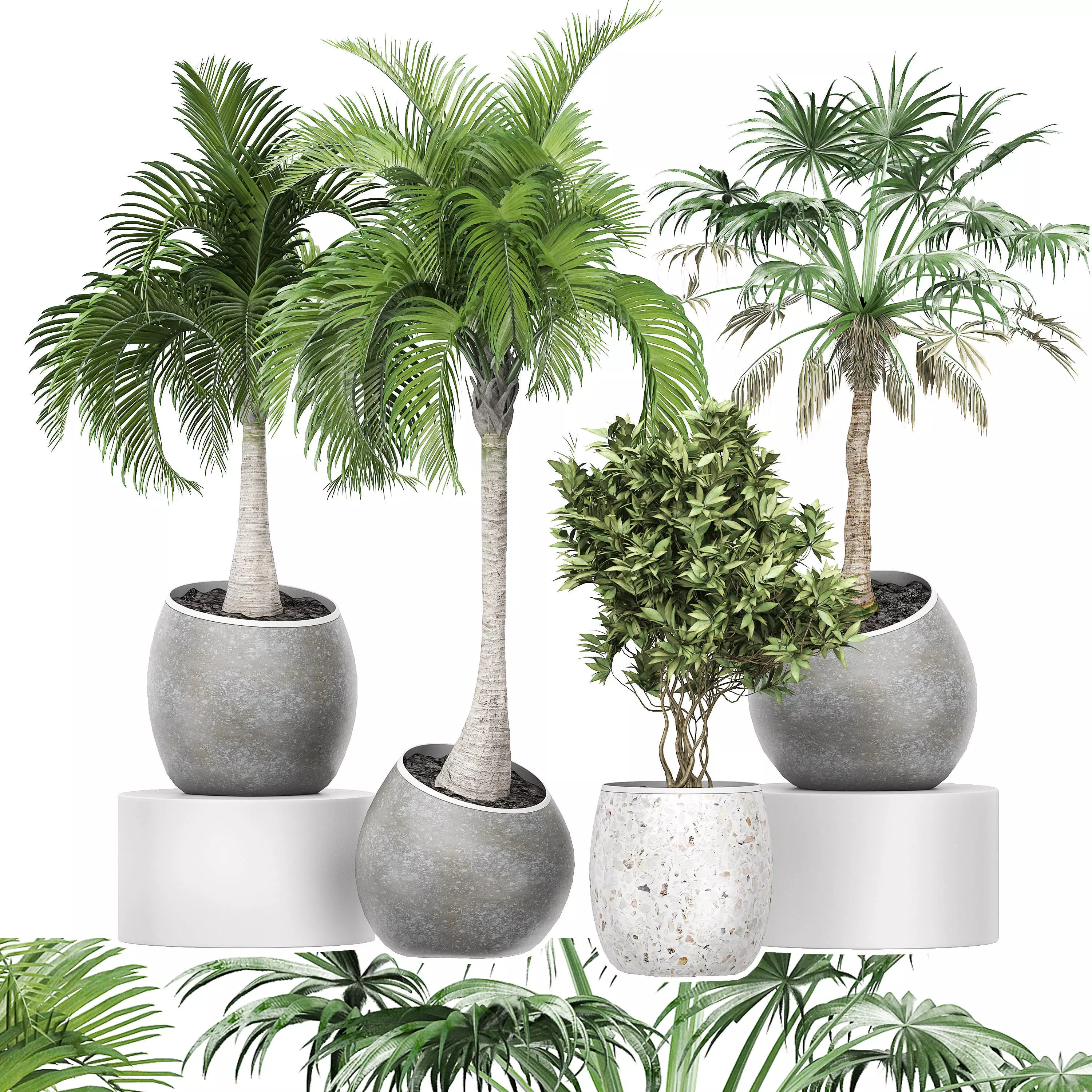 Flower Pack 150 3D model_0