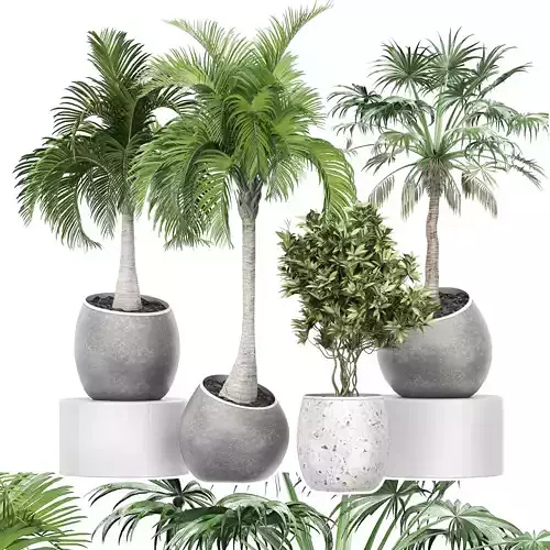 Flower Pack 150 3D model