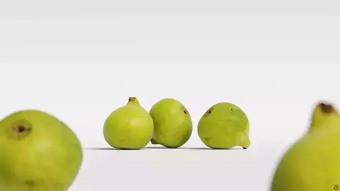 Fig   3D model