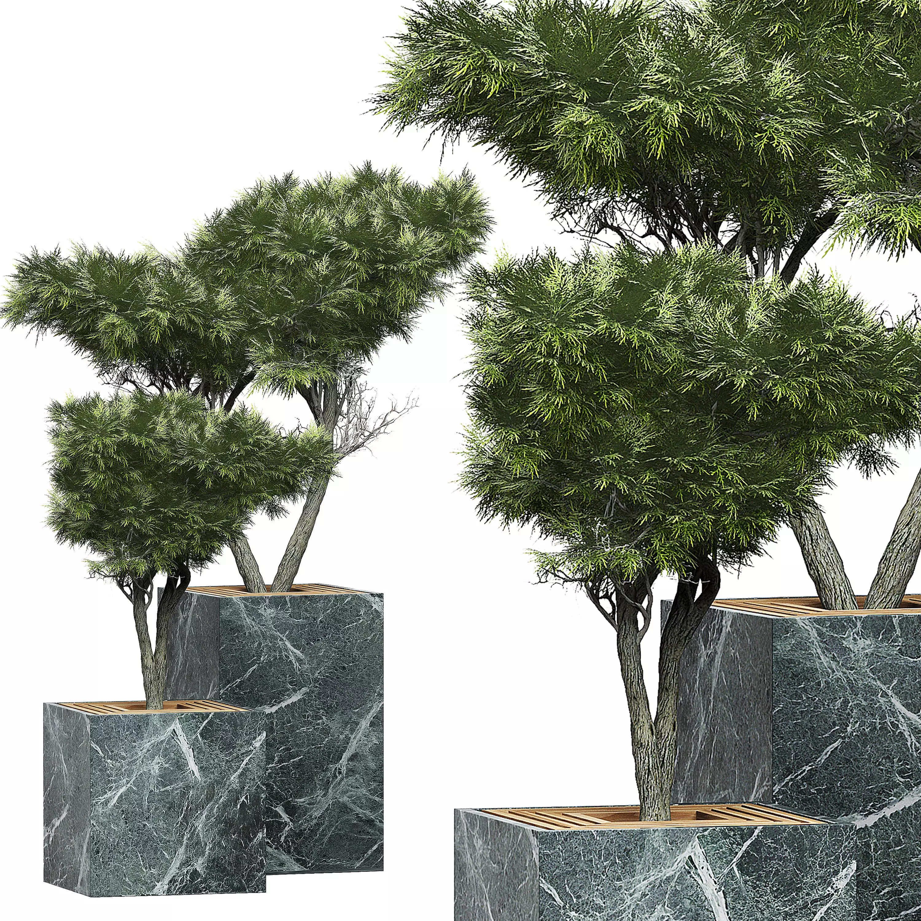 Flower Pack 151 3D model_0
