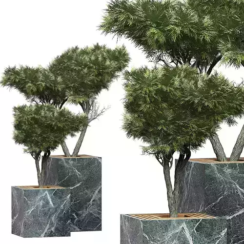 Flower Pack 151 3D model