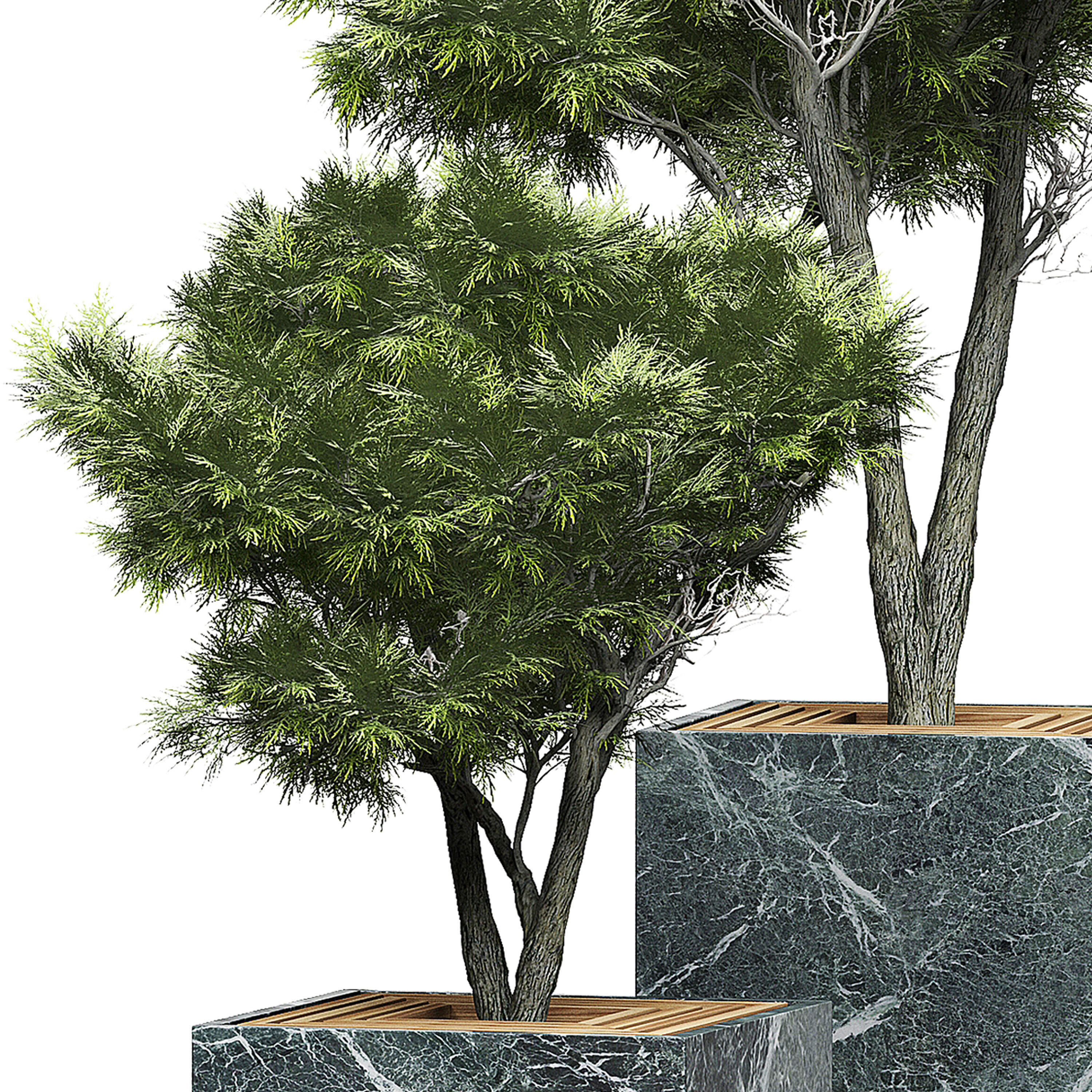 Flower Pack 151 3D model_1