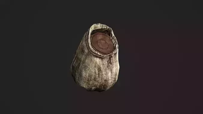 Viking Bag Game-Ready