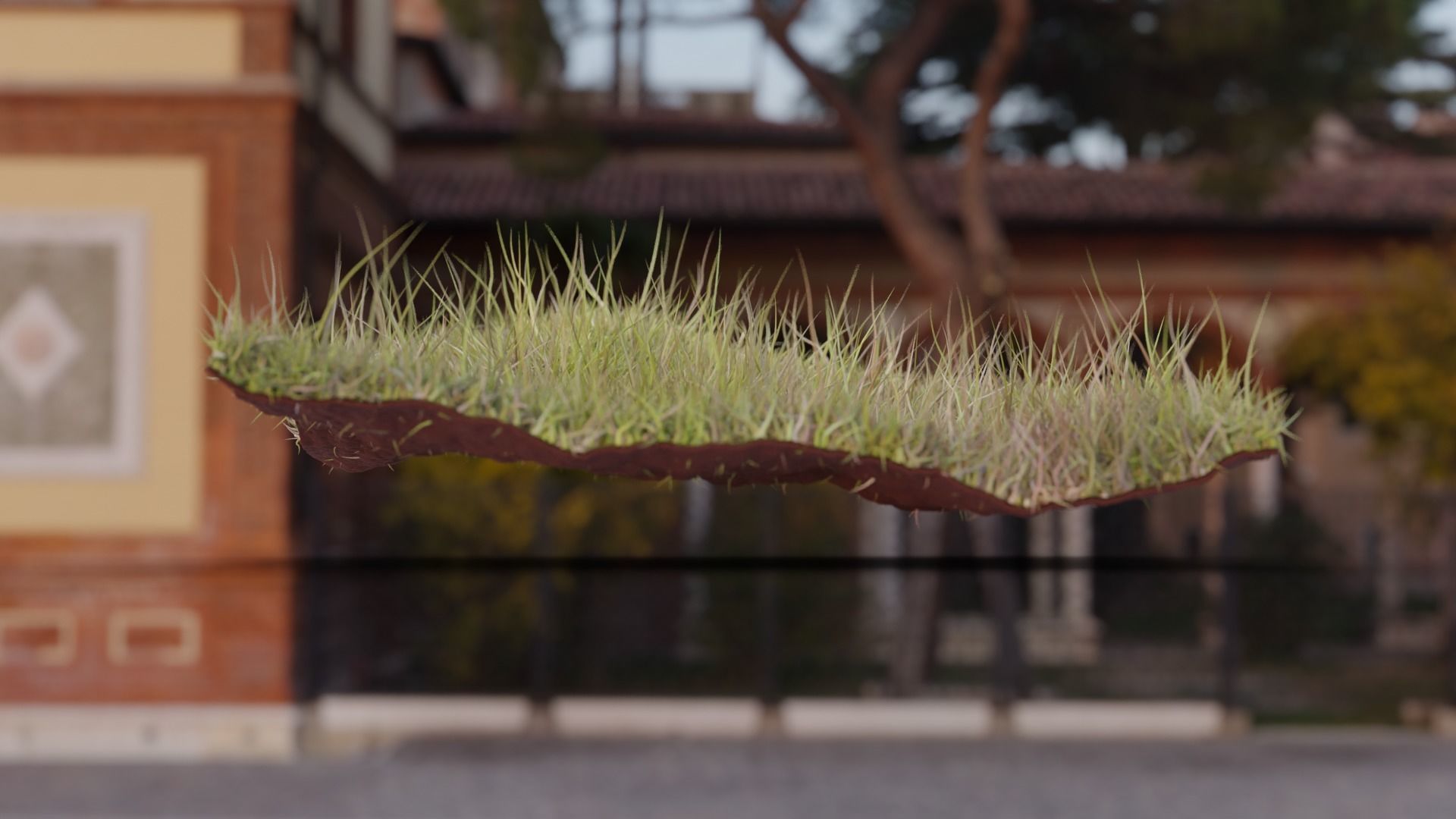 Forest Grass 3D model_4