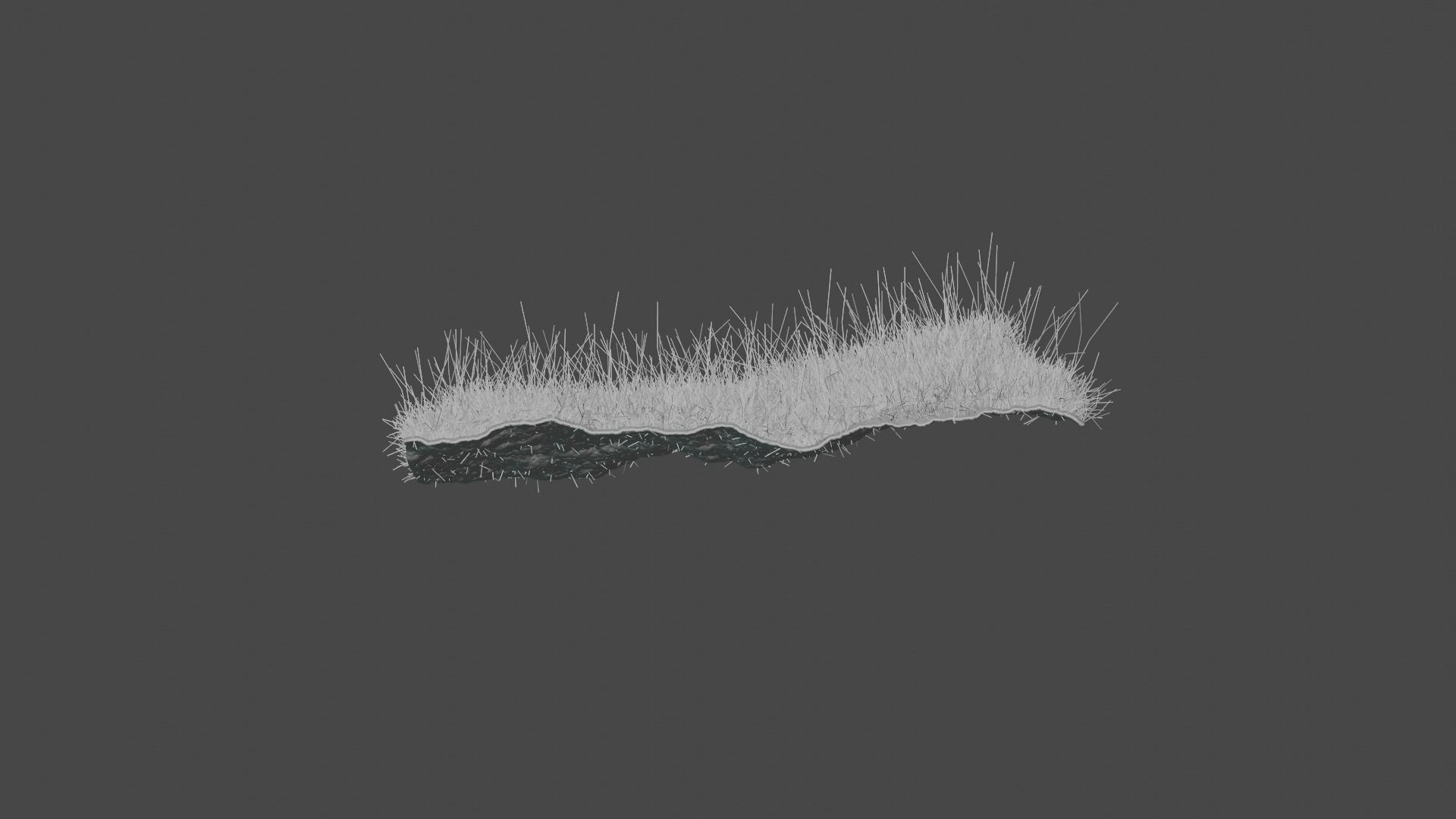 Forest Grass 3D model_8