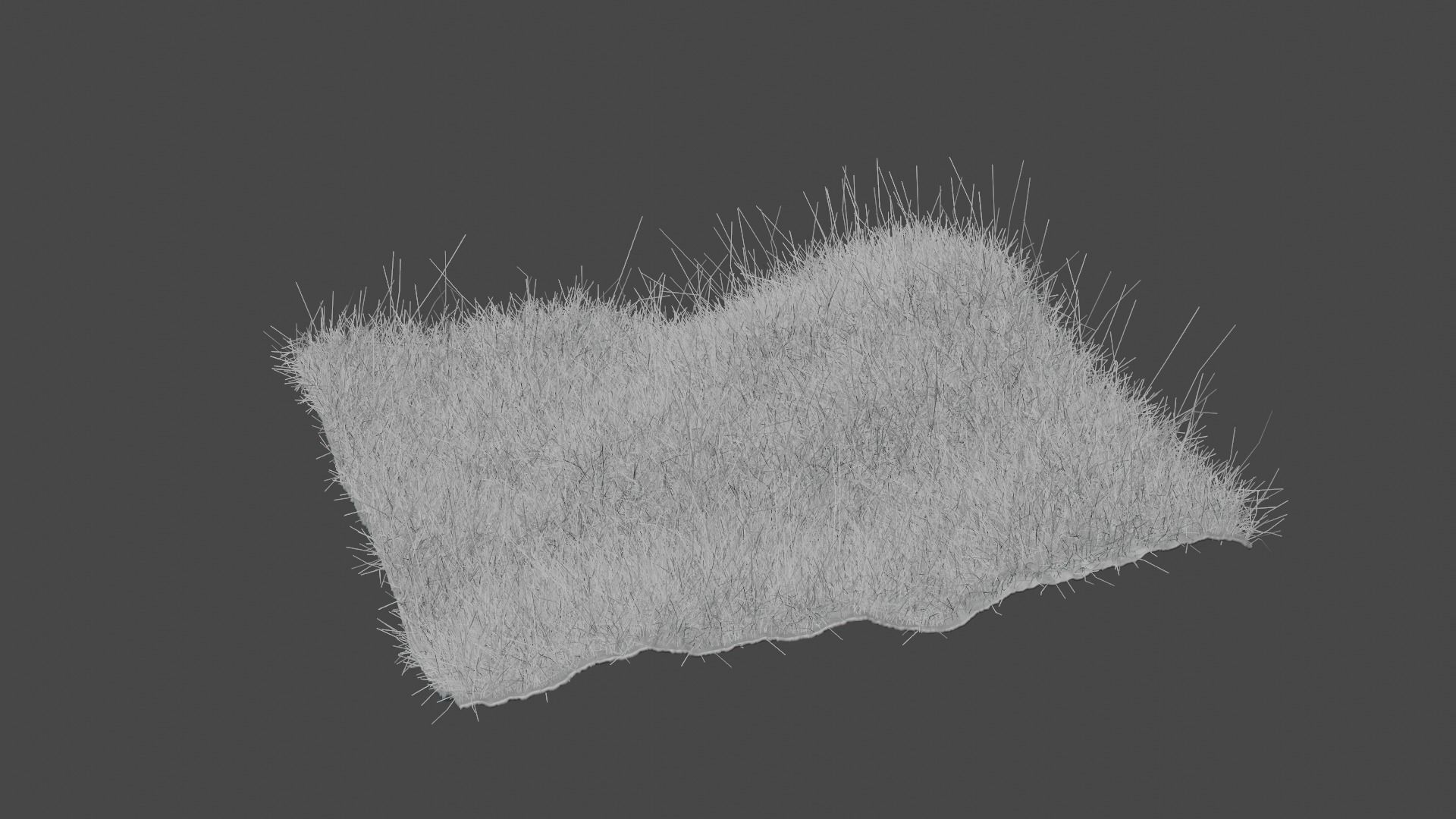 Forest Grass 3D model_9