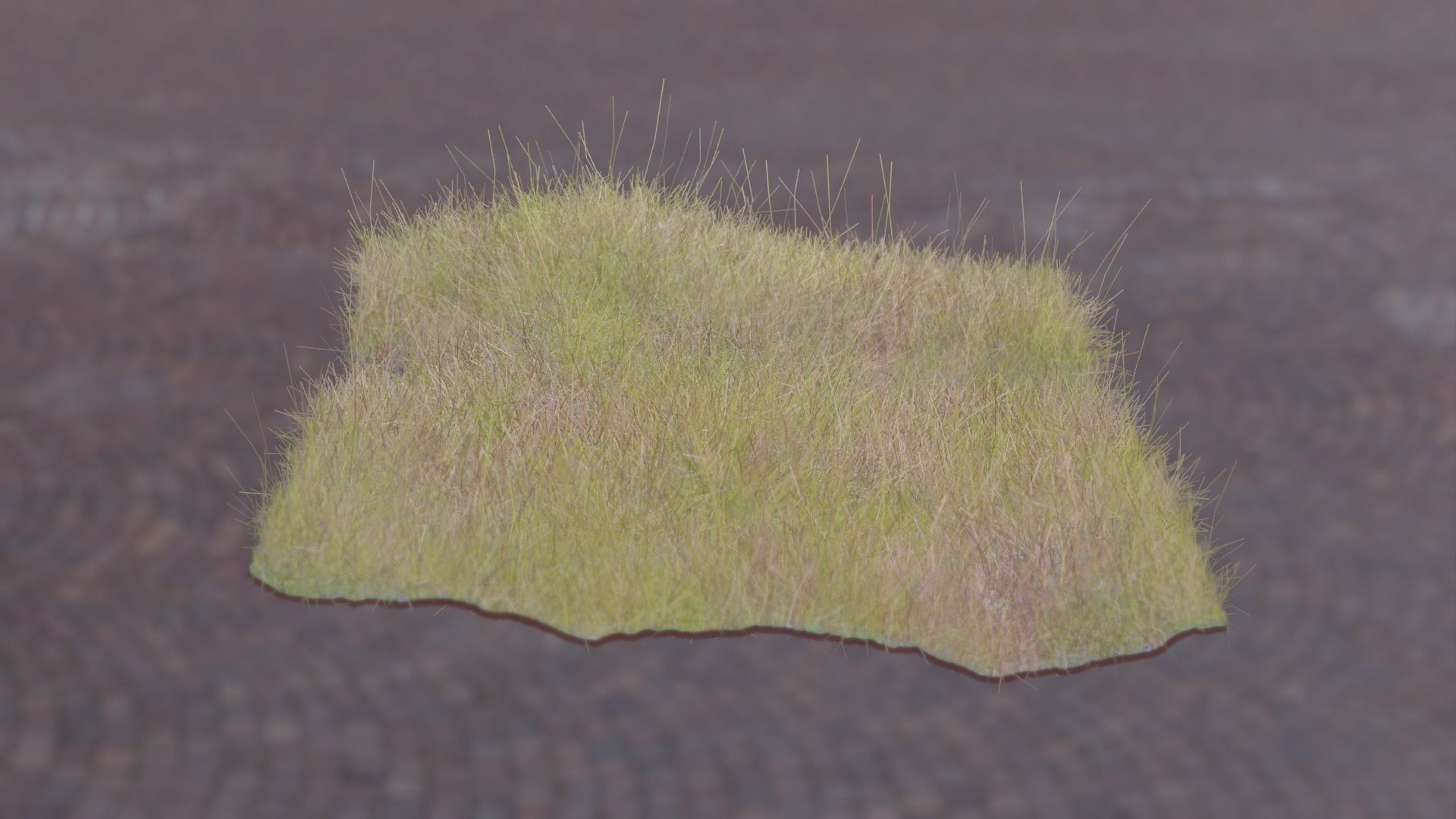 Forest Grass 3D model_2