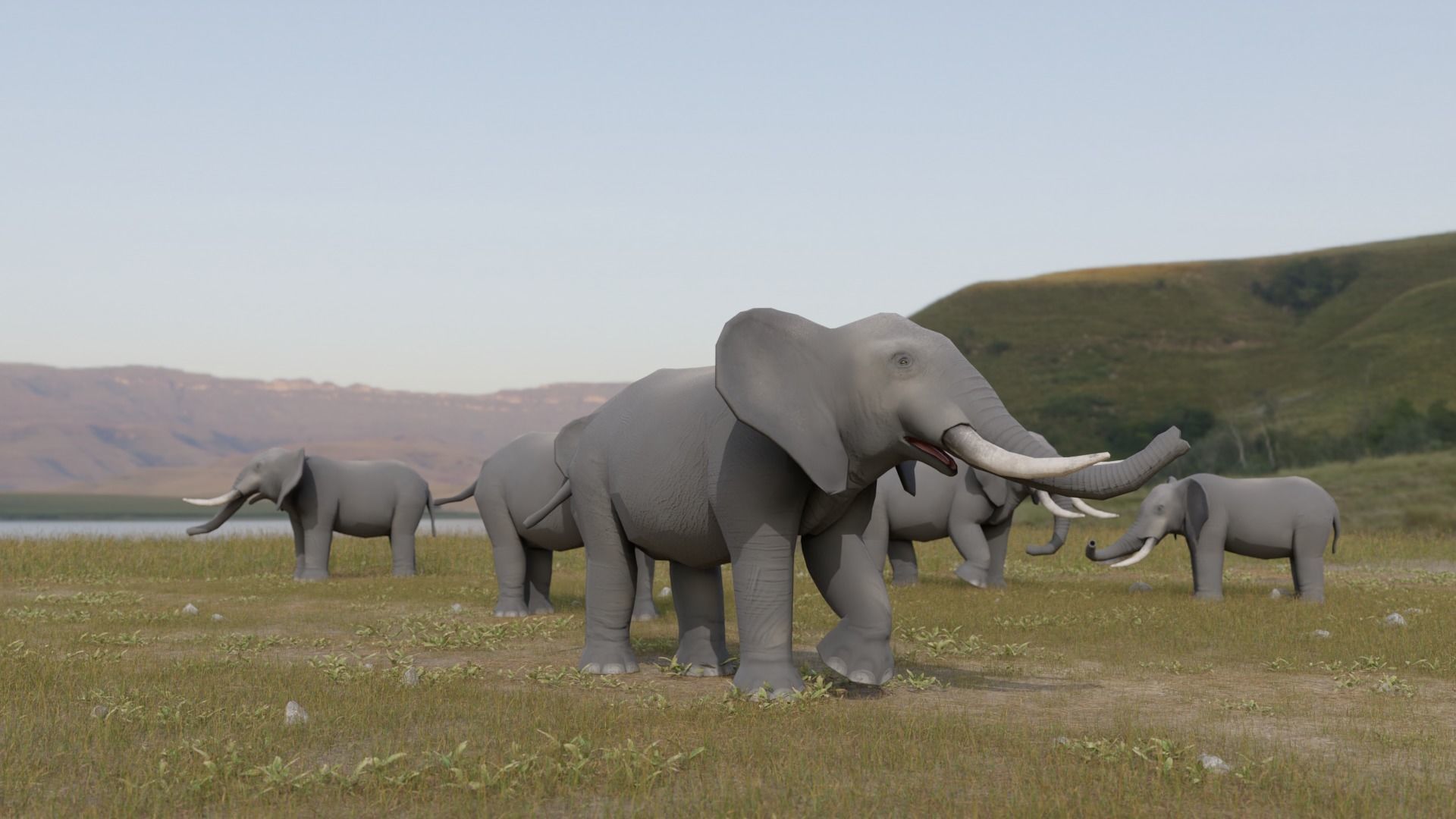 African Animals  3D Model Collection_30