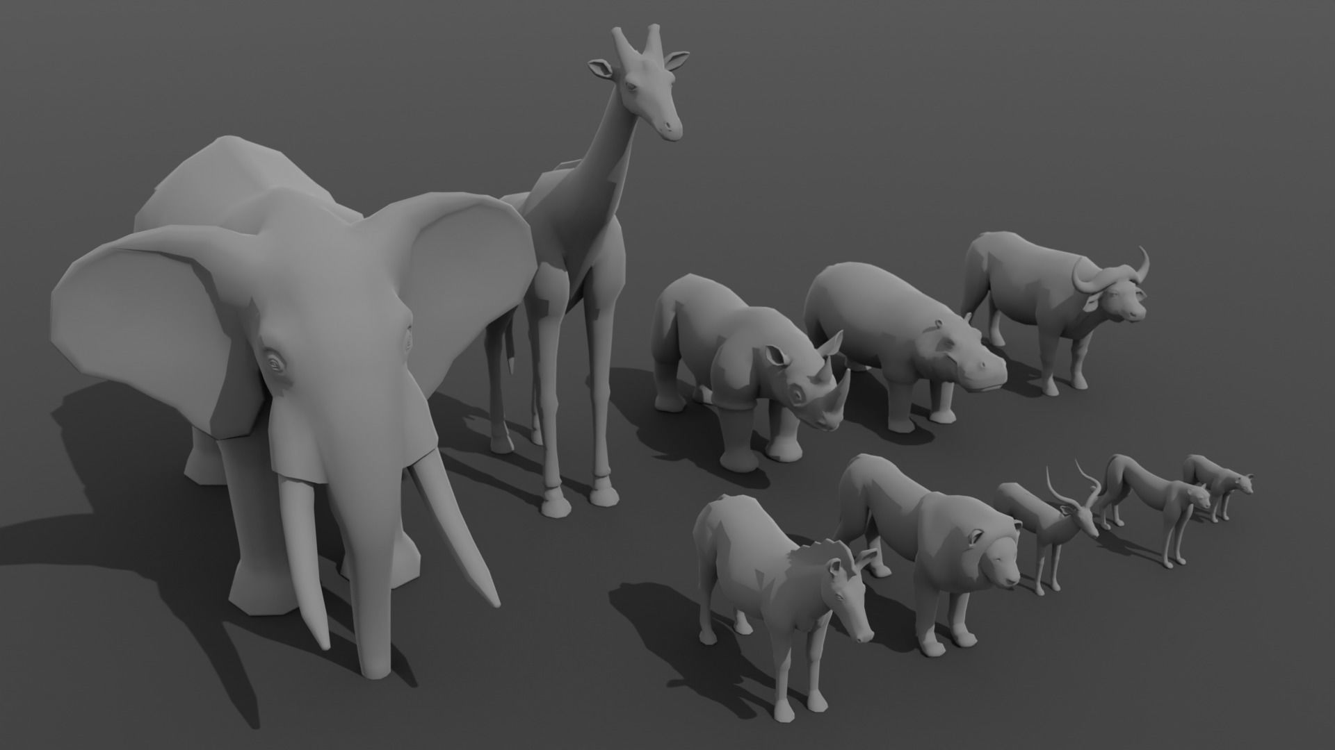African Animals  3D Model Collection_17