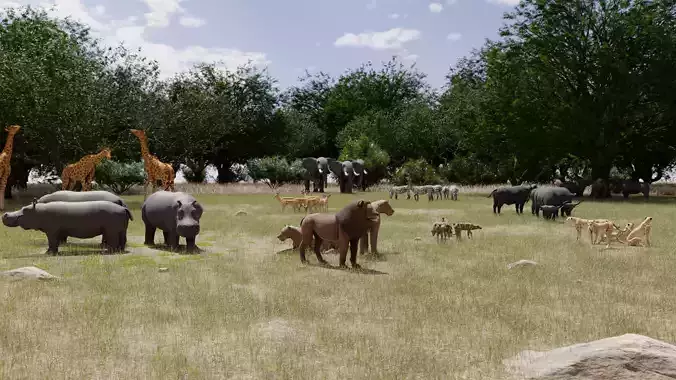 African Animals  3D Model Collection