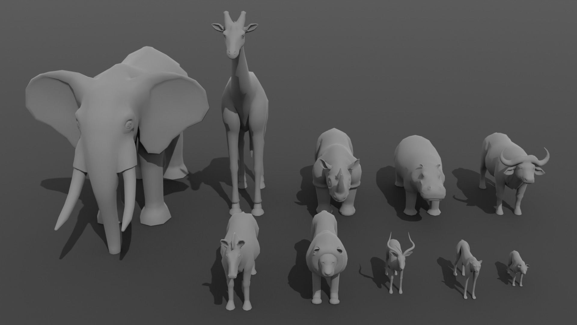 African Animals  3D Model Collection_16